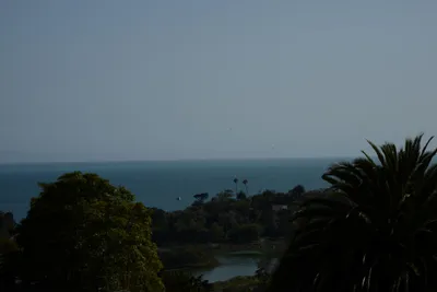 DSC_2470 (Large).JPG